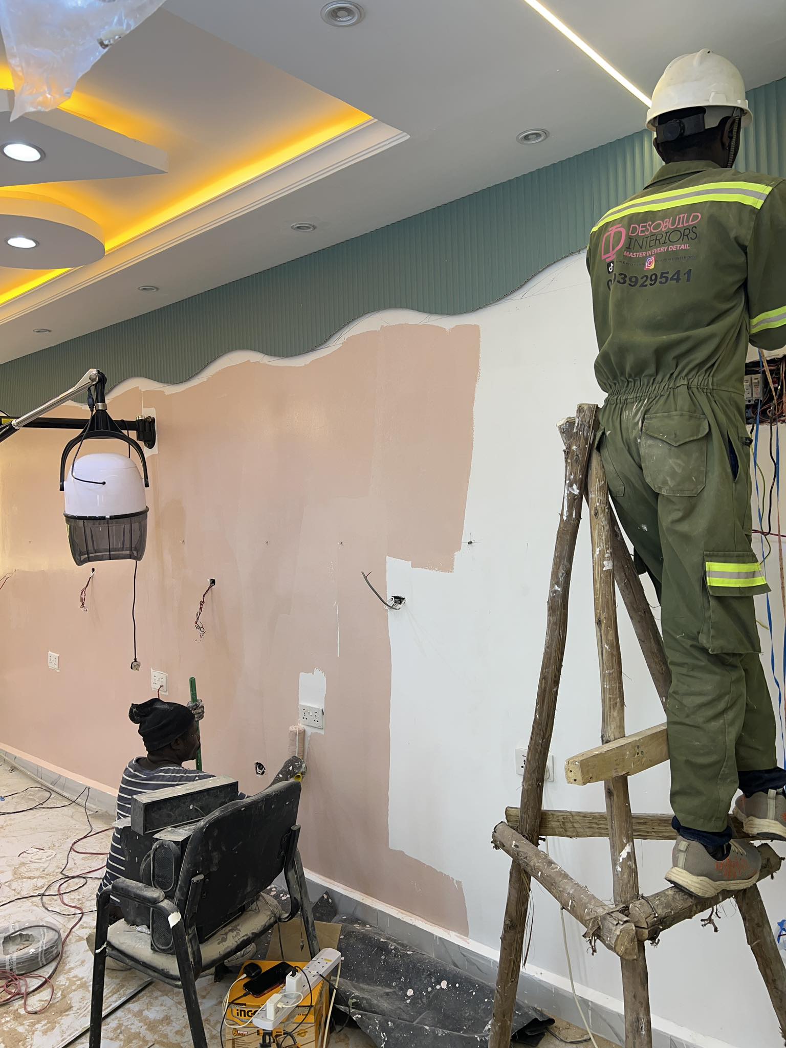 Professional Painting
